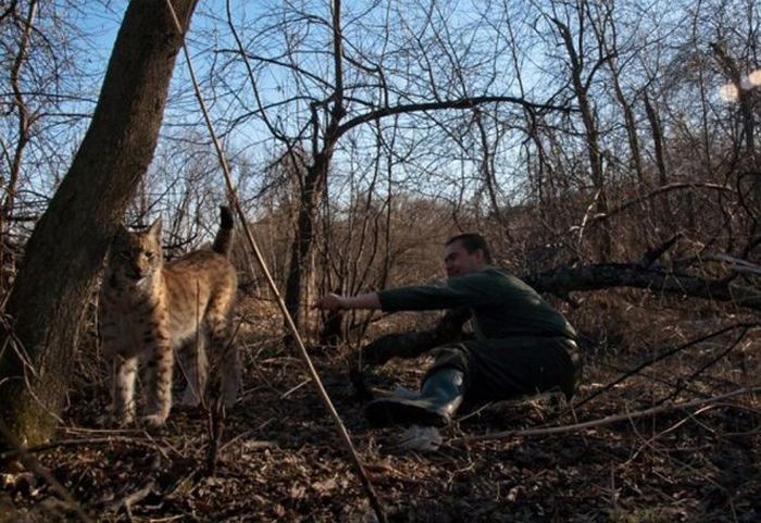 Вот это встреча! Очень неожиданно! (10 фото)