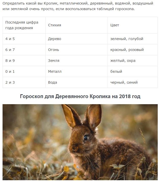 Гороскоп на 2018 год для Кролика (кота): женщины и мужчины Гороскоп на 2018 год для Кролика (кота): женщины и мужчины