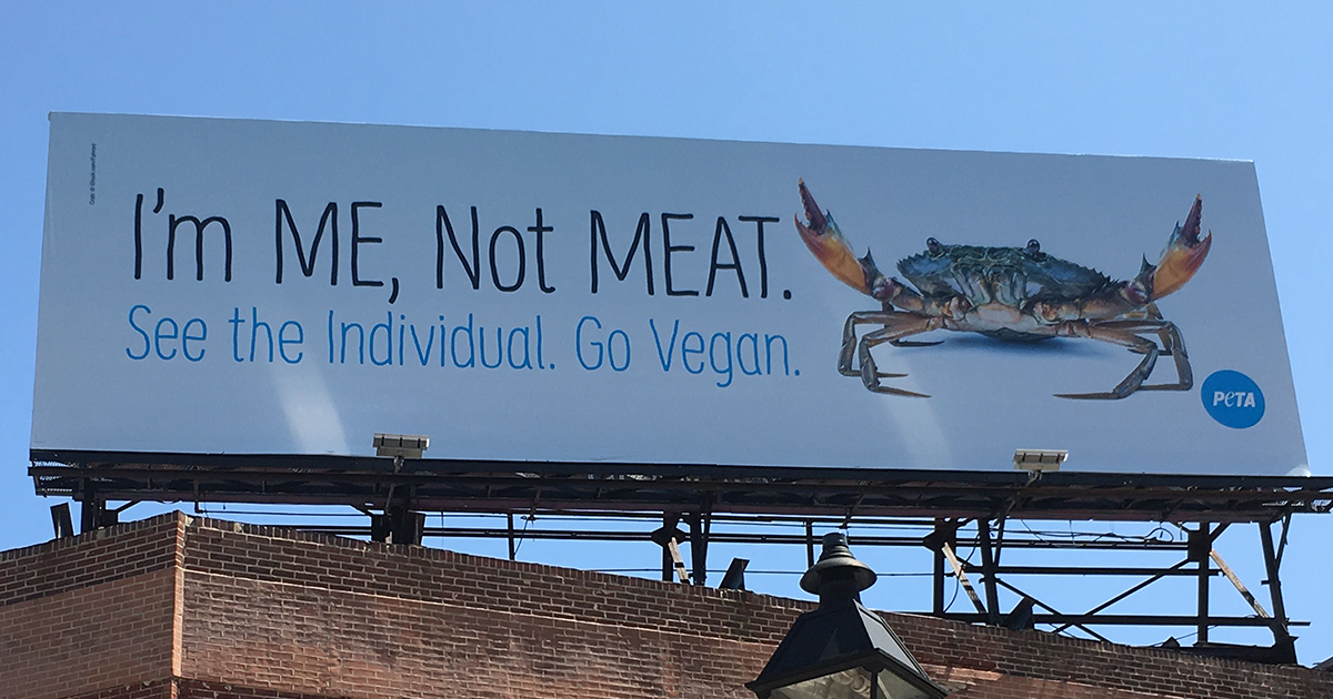 PETA Puts Vegan Billboard In Crab-Loving Baltimore, And Jimmy’s Seafood Response Is Taking Twitter By Storm