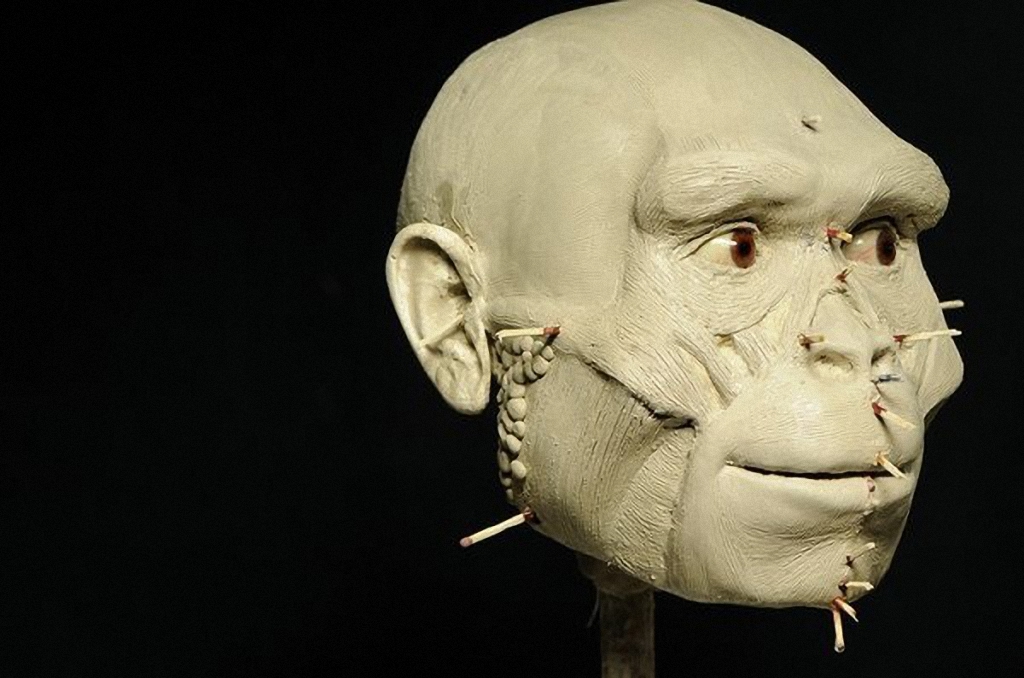 ЛЮДИ, ЖИВШИЕ МИЛЛИОНЫ ЛЕТ НАЗАД