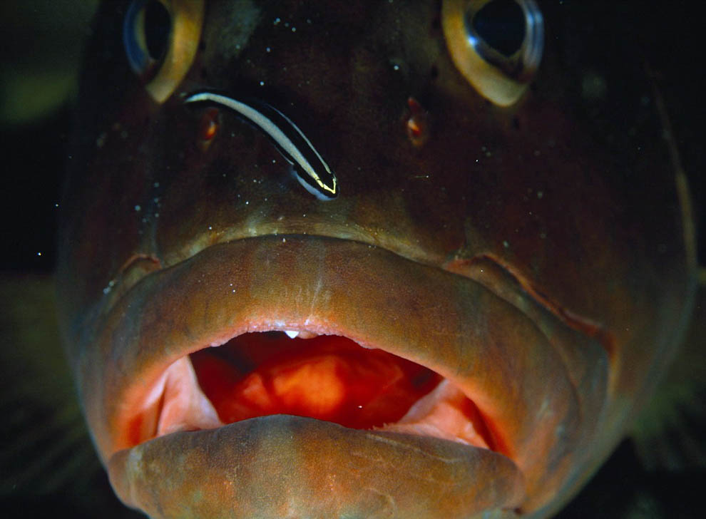 Фотоработы Дэвида Дубиле 3161 Фотоработы Дэвида Дубиле