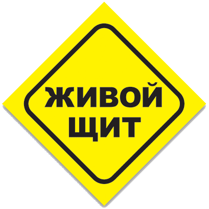 Камикадзе - герои или безумцы? Камикадзе - герои или безумцы?