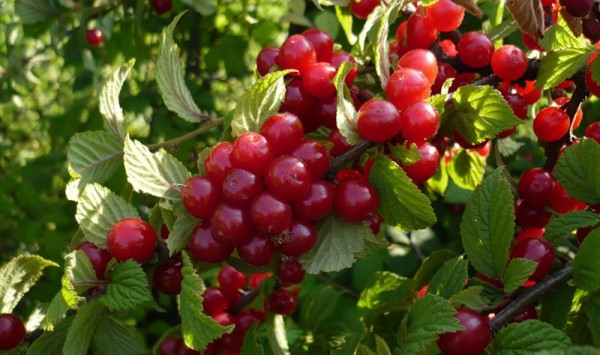 ����������� � ���� �� ��������� ������