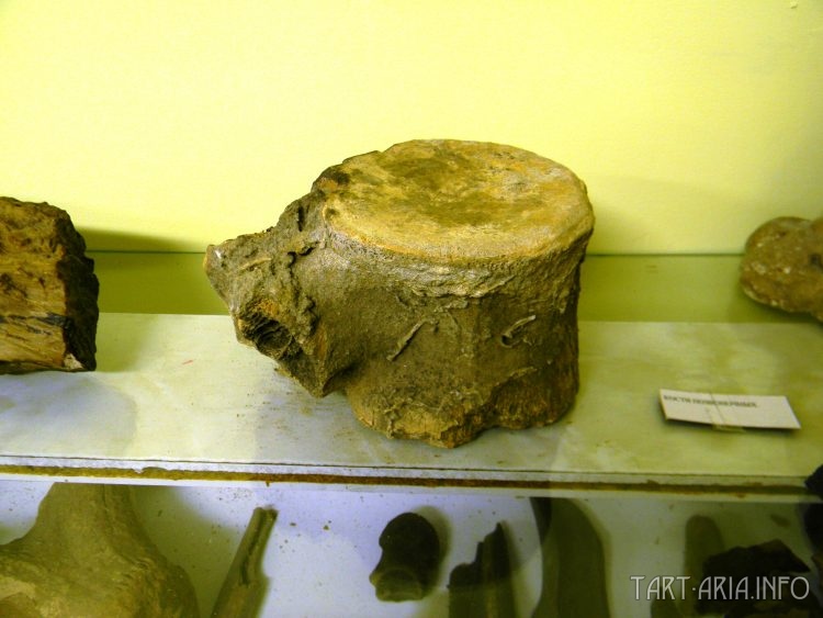 istoriya-ne-nuzhna-3