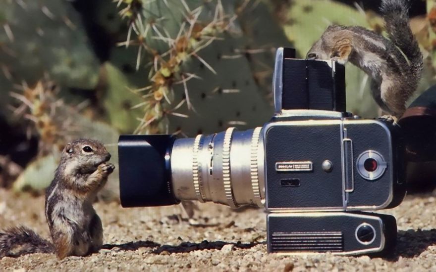 Фотограф