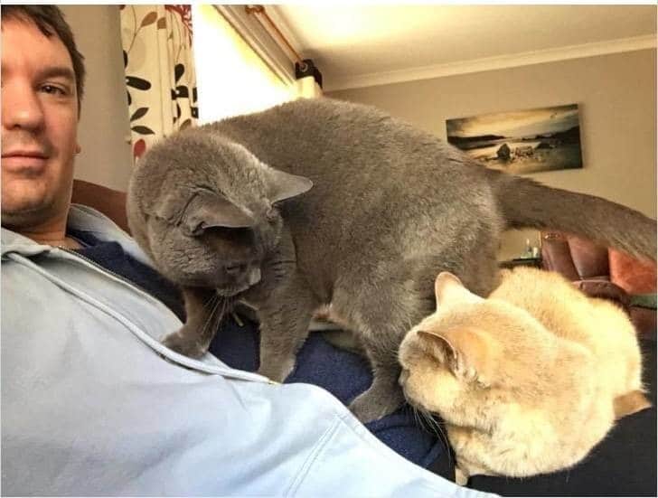 Фотография: Мой дом, не мой кот: фото о котах, которые гуляют по чужим домам №12 - BigPicture.ru