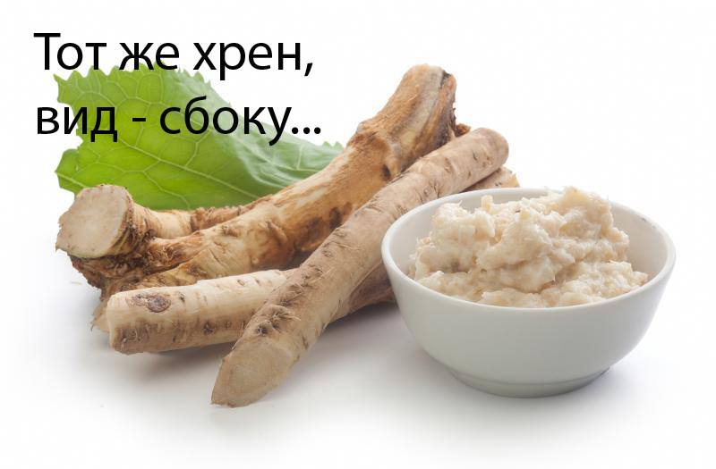 Буддистская Любовь Буддистская Любовь