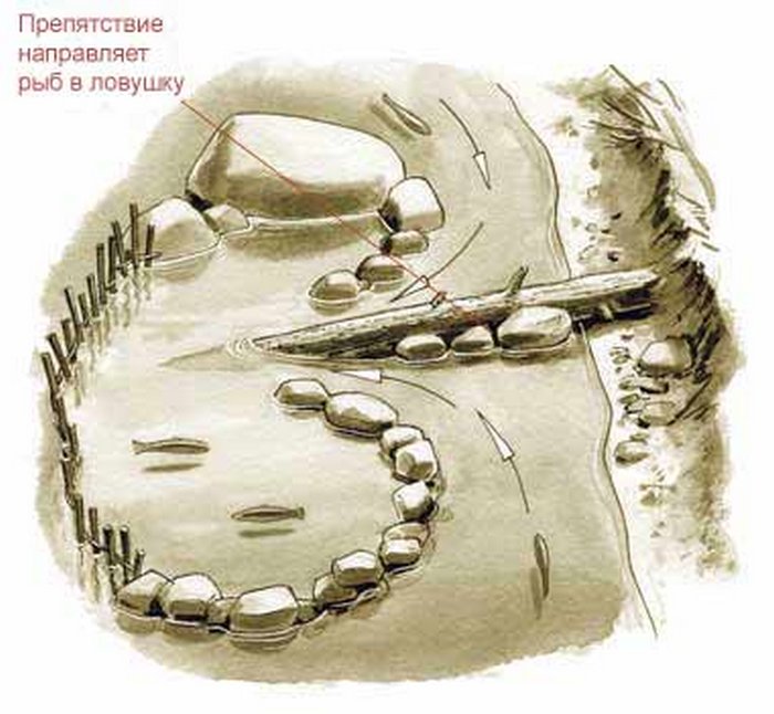 Ловушка для поимки рыб