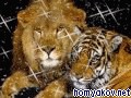 Котенок