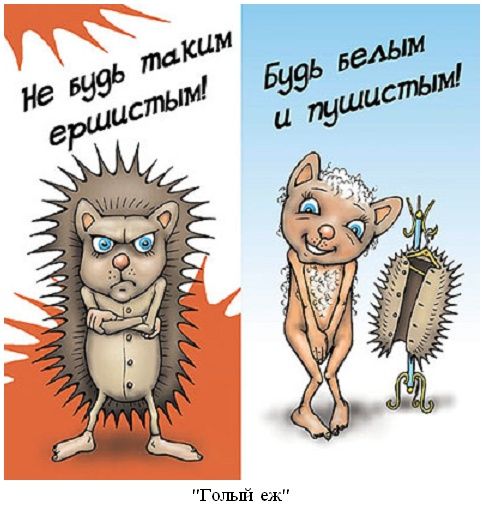 Угарные поздравления в картинках Угарные поздравления в картинках