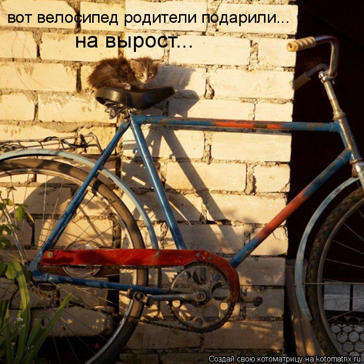 Этот велосипед мне подарили Этот велосипед мне подарили