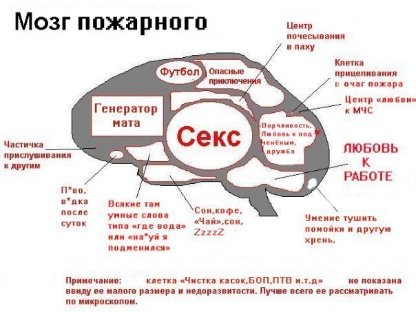 Поздравление для мозга Поздравление для мозга