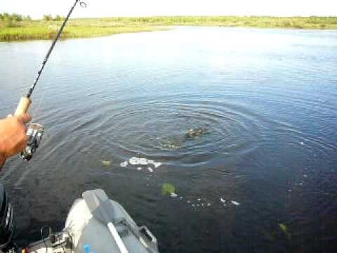оз Чусовское часть 1 оз Чусовское часть 1