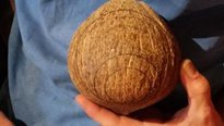 Волшебная кокосовая лампа Волшебная кокосовая лампа