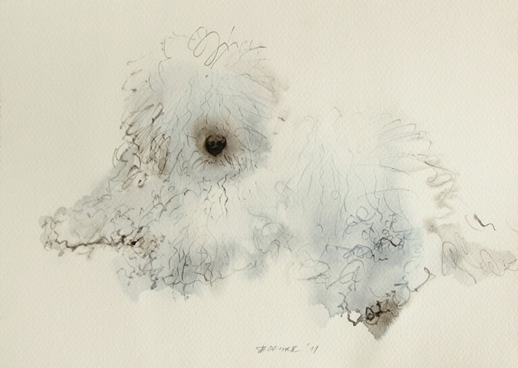 dog-drawings-endre-penovac-14.jpg dog-drawings-endre-penovac-14.jpg