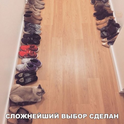 Прикольные фотомемы (30 шт) Прикольные фотомемы (30 шт)