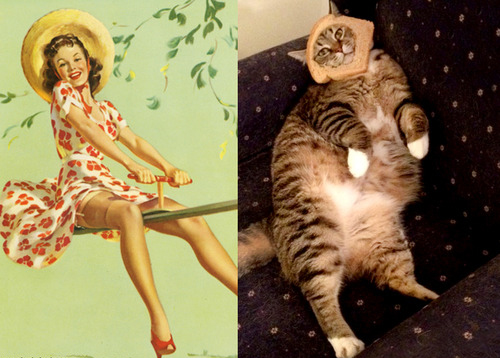 Арт-проект «Cats That Look Like Pin Up Girls» Арт-проект «Cats That Look Like Pin Up Girls»
