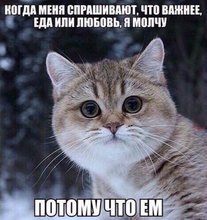 Самый злой пост о тех, кому не хватает мотивации для занятий спортом Самый злой пост о тех, кому не хватает мотивации для занятий спортом