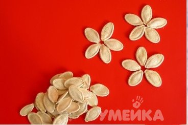 10 идей и поделок из тыквенных семечек 10 идей и поделок из тыквенных семечек