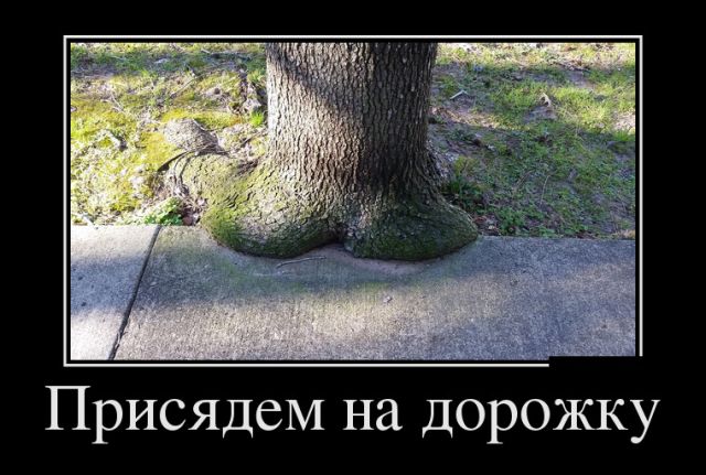 Забавные и смешные демотиваторы с самого утра (11 фото) Забавные и смешные демотиваторы с самого утра (11 фото)