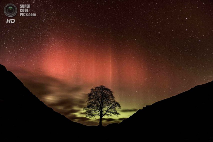 , , , , , , , , , , , -, ,  , ,  , --