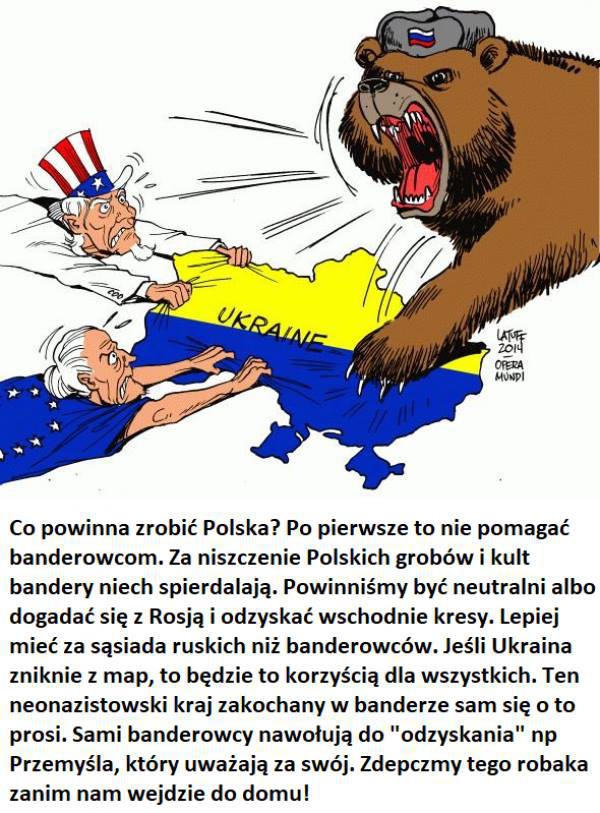 Опрос украинцев в Варшаве шокировал поляков Опрос украинцев в Варшаве шокировал поляков