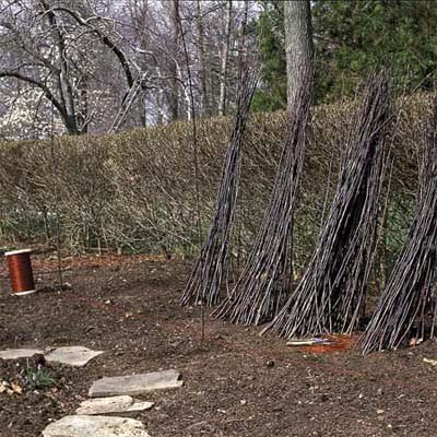 Шпалеры для растений