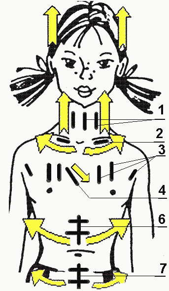 shema 2
