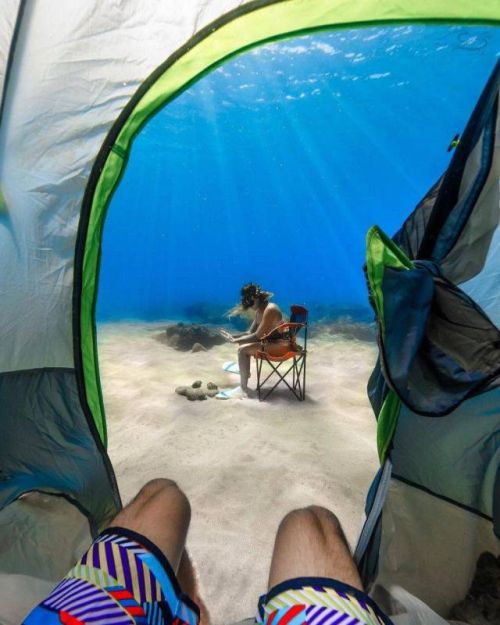 Прикольные картинки и забавные фотографии для веселья (11 фото) Прикольные картинки и забавные фотографии для веселья (11 фото)