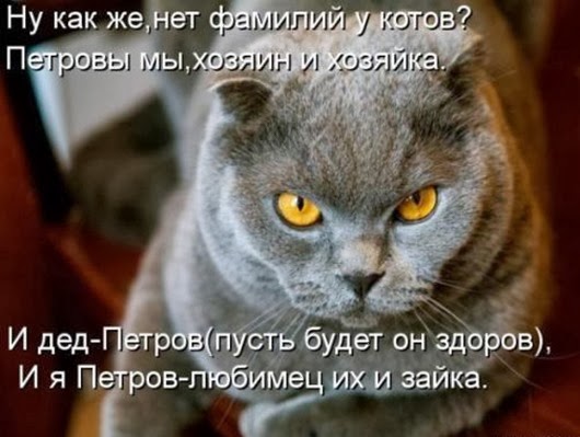 c1deaa62384117c9c32843d5c4f_prev