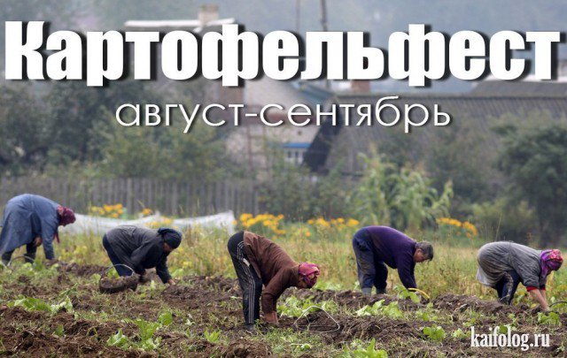 Картофельфест открыт (50 фото) Картофельфест открыт (50 фото)
