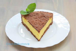 Фото к рецепту: Домашний пирог с творогом и какао Фото к рецепту: Домашний пирог с творогом и какао