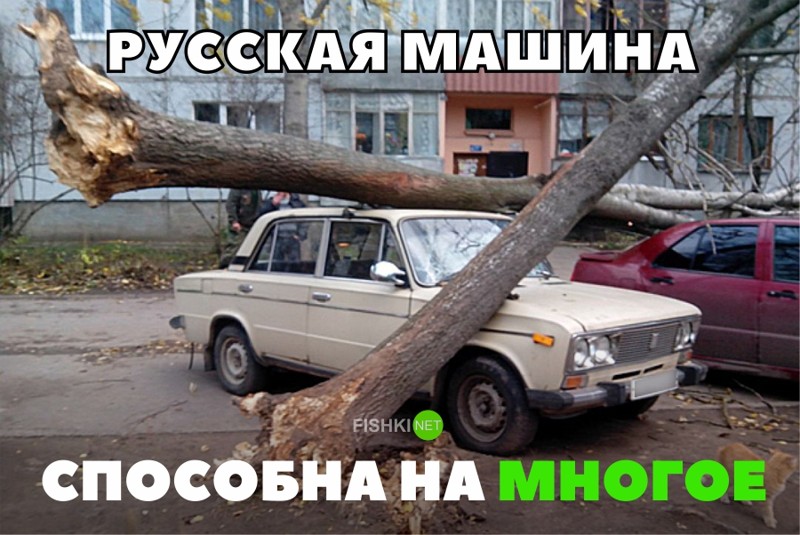 Подборка автомобильных приколов Подборка автомобильных приколов авто, автоприкол, автоприколы