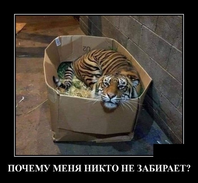 Демотиваторы Демотиваторы