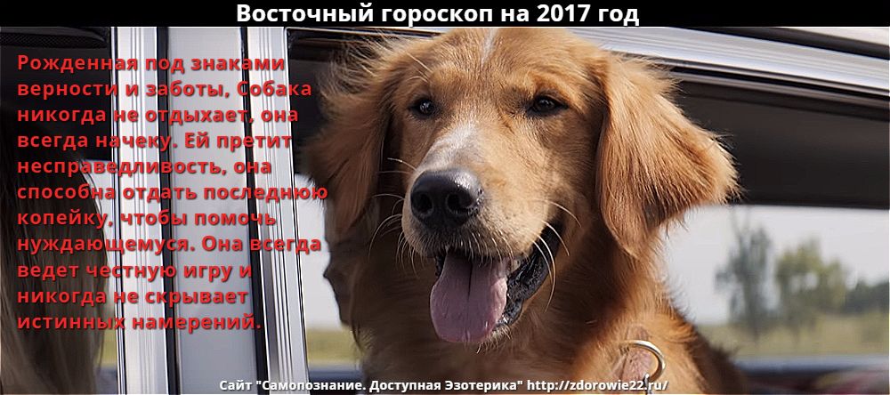 28 января кто по гороскоп 28 января кто по гороскоп