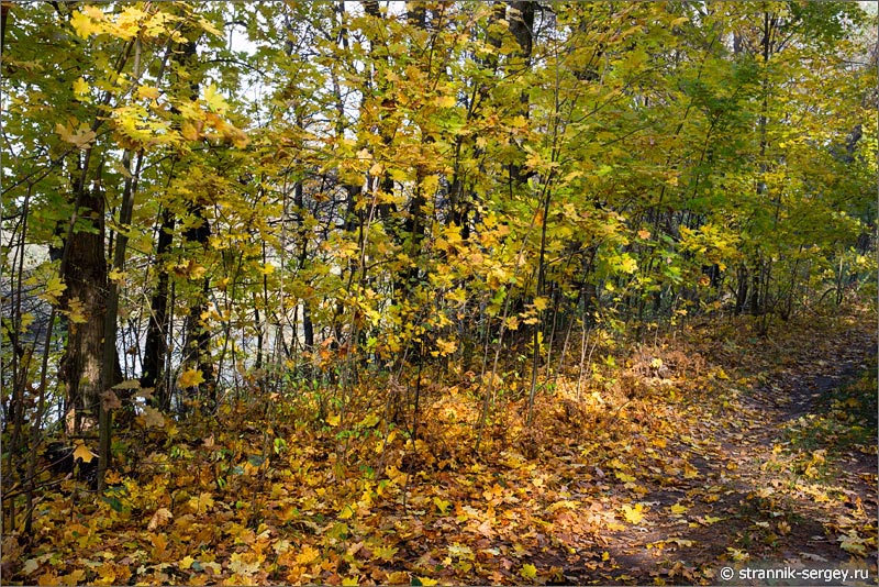 Поход в осеннюю природу Поход в осеннюю природу