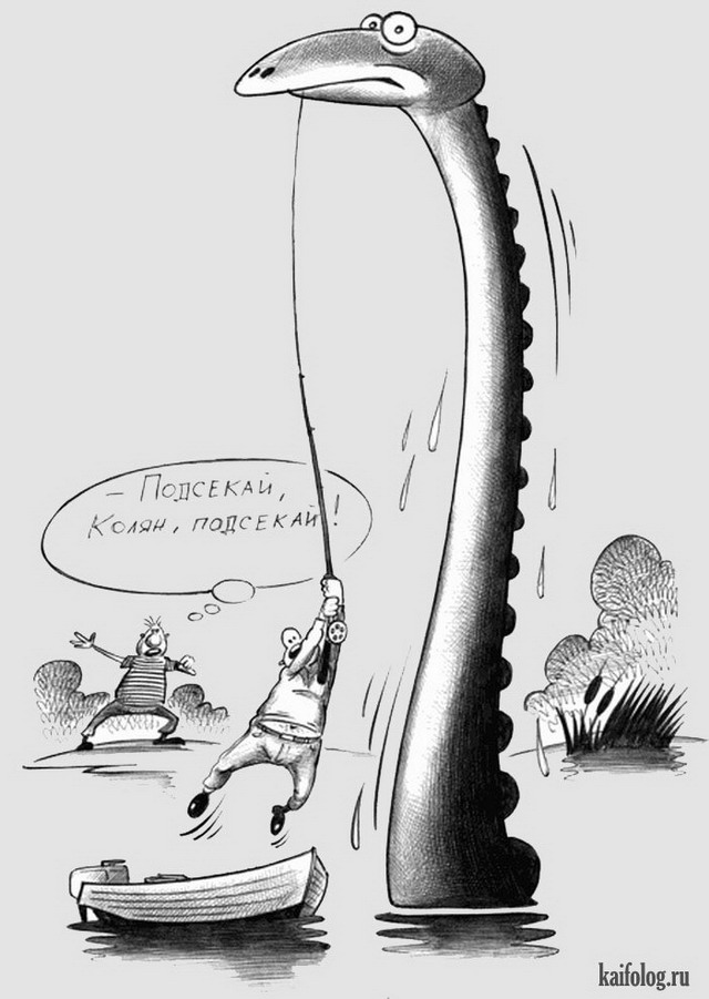 Картинки и карикатуры (45 карикатур) Картинки и карикатуры (45 карикатур)