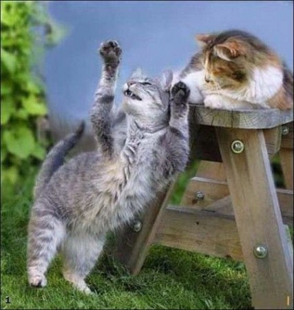 Давайте улыбаться вместе! :) (16 поводов)