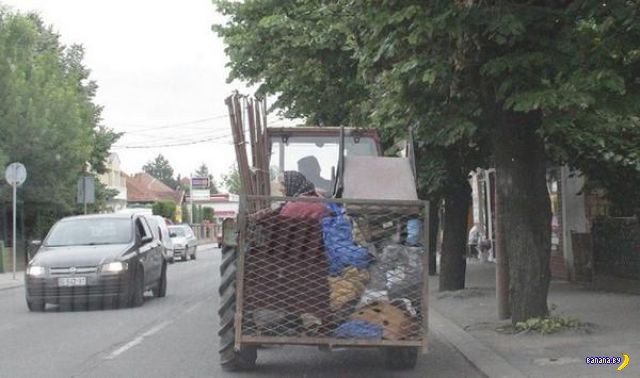 Гуру перевозок Гуру перевозок
