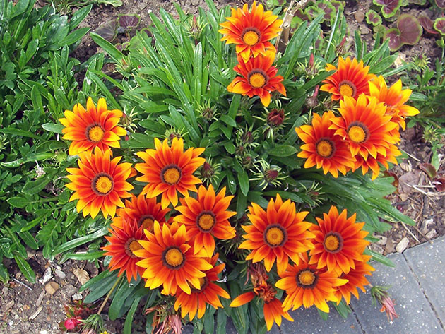 �������� �������