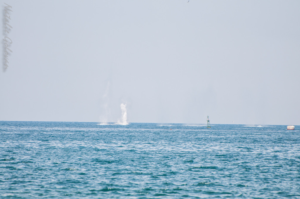 Генеральная репетиция празднования Дня Военно-Морского Флота в Севастополе Генеральная репетиция празднования Дня Военно-Морского Флота в Севастополе