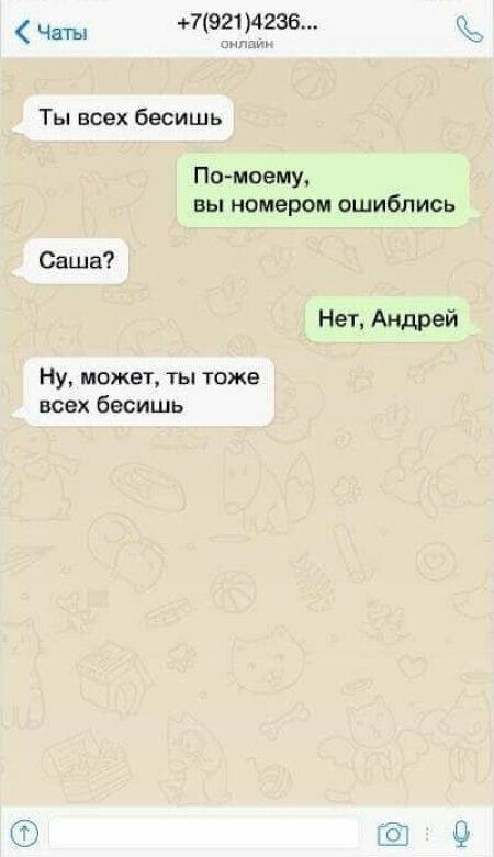 Немного казусов, в которые попадали все Андреи Андрей - всему голова
(18 фото)