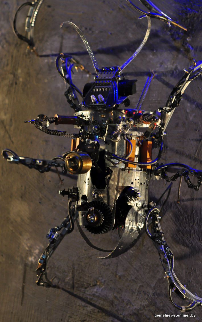 механизм, насекомые, мастер