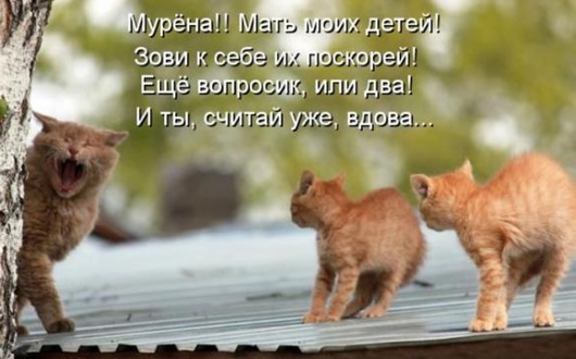 2ad547f2465a20eda55dca32166_prev