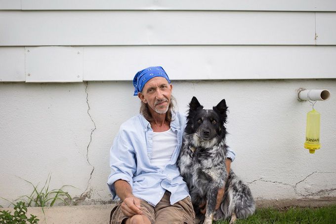 животные, отношения, люди, приют