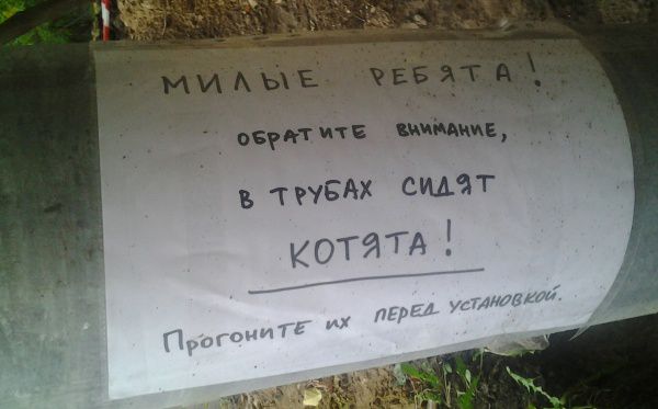 Самые теплые объявления и вывески (15 фото) Самые теплые объявления и вывески (15 фото)