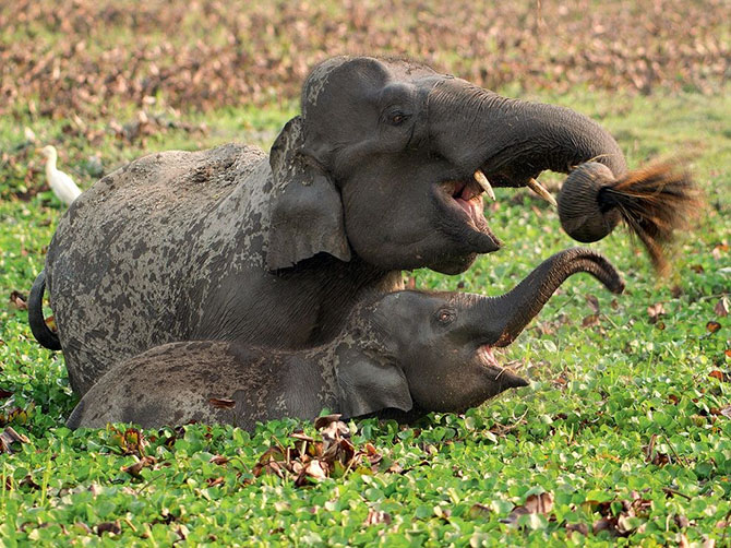 National Geographic: лучшие фотографии июля