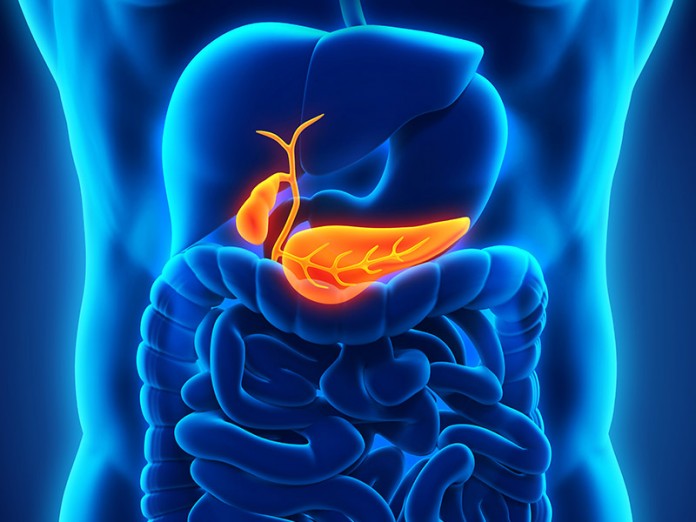 pancreas-img