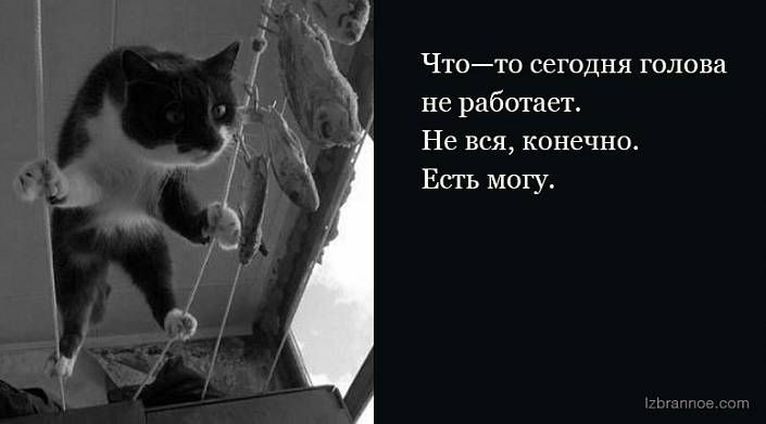 10 шикарных анекдотов для первой рабочей недели после праздников 10 шикарных анекдотов для первой рабочей недели после праздников
