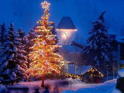 tree